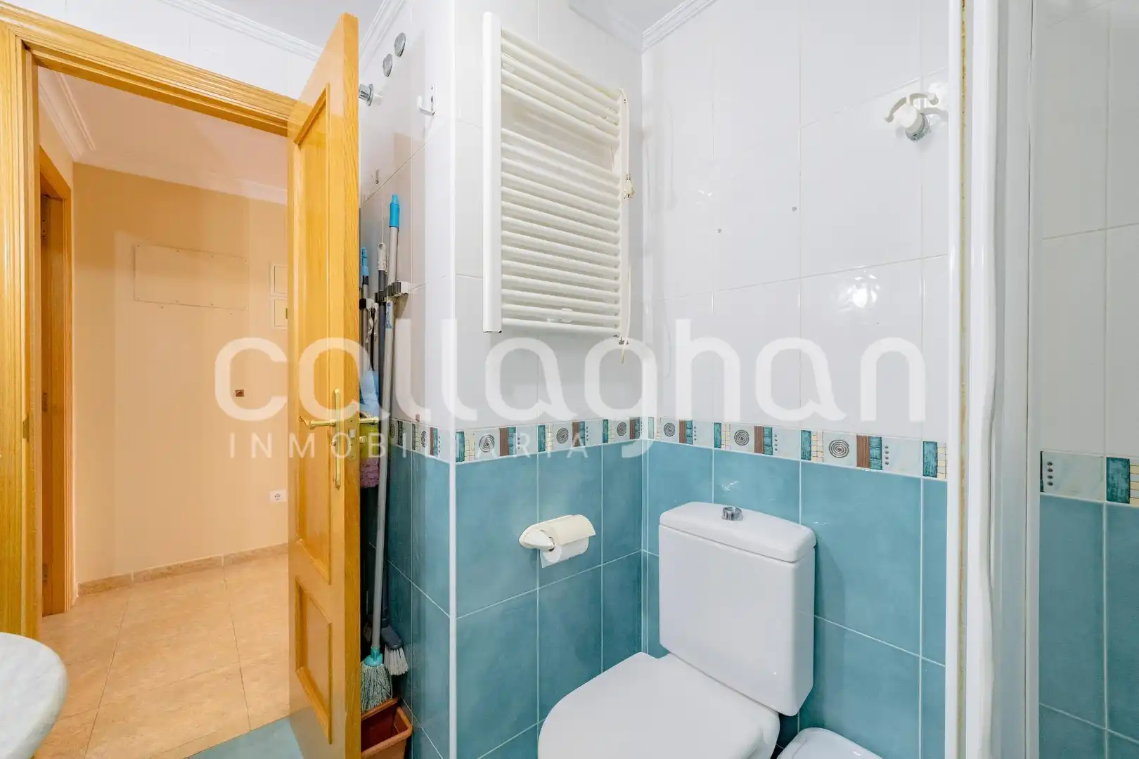 Piso con ascensor en venta en Sur, imagen 11
