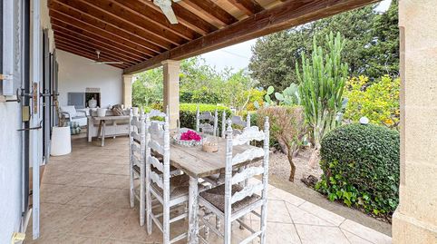 ENCANTADORA FINCA RÚSTICA EN POLLENÇA, imatge 3