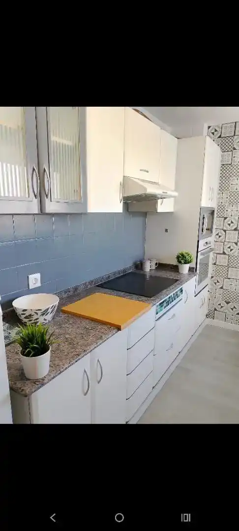 Cuina de Pis de lloguer en Silla amb Parquet, Moblat i Forn