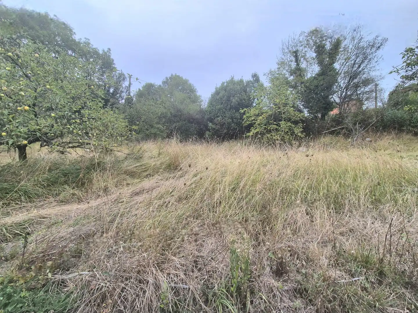 Residential land for sale in Grado