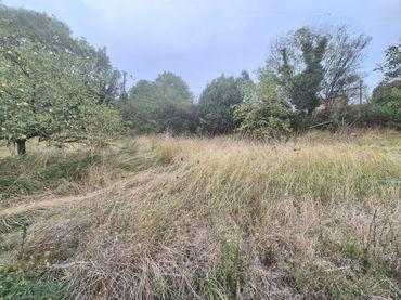 Terrain résidentiel à vendre à Grado