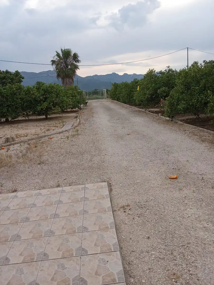 Casa o xalet en venda en Cullera amb Aire condicionat, Jardí privat i Moblat