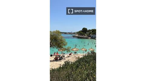 Photo 2 of Apartment to share in Cas Català - Illetes, Illes Balears