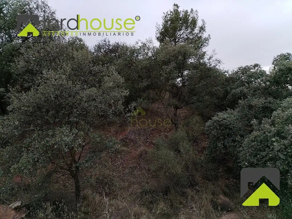 Casa o chalet en venta en Lorca