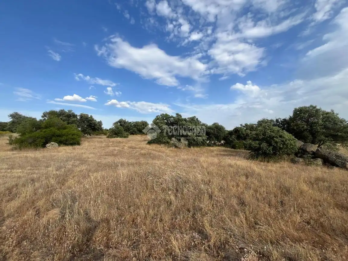 Terreno en venta en Santa Ana de Pusa