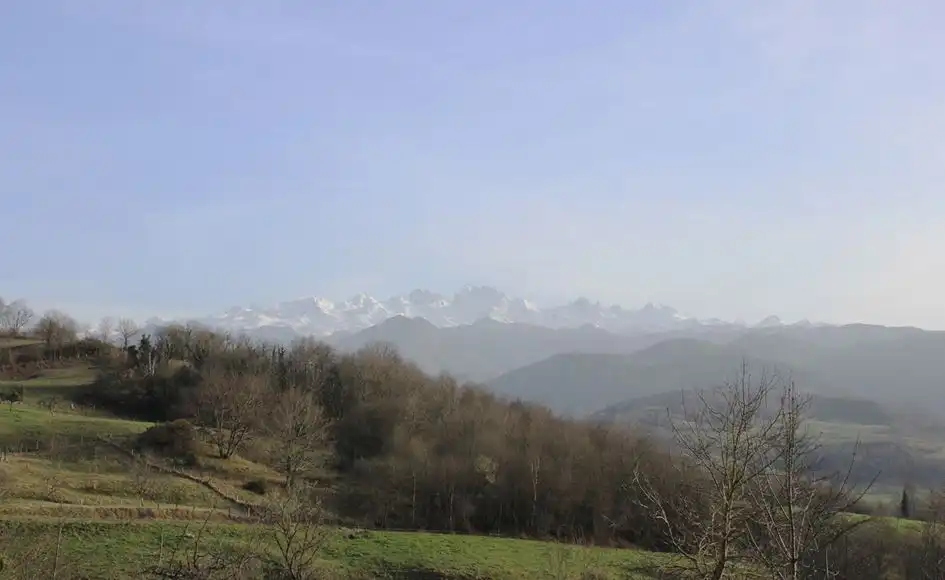 Vista exterior de Casa o chalet en venta en Cangas de Onís, Asturias