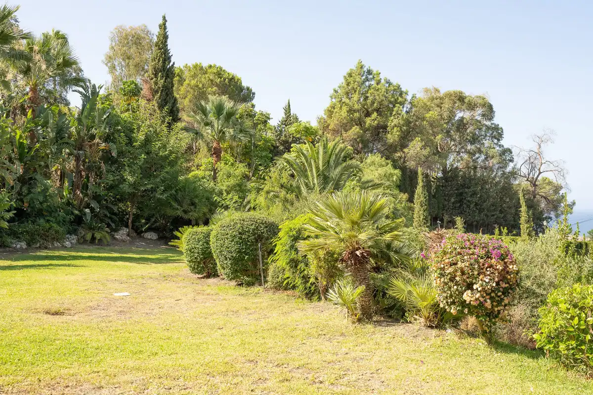 Jardín de Casa o chalet en venta en Marbella con Piscina