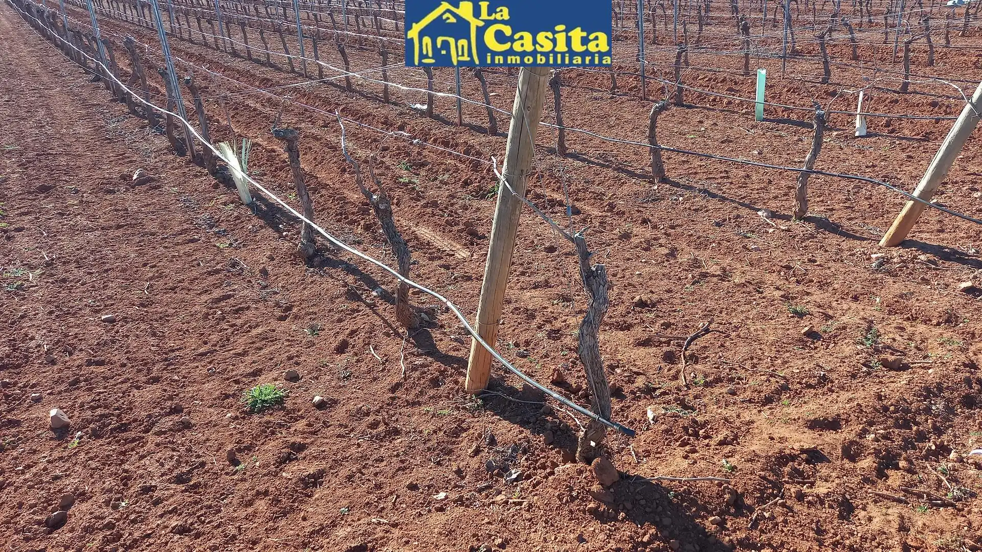 Terreno rústico en venta en Camino de Miguelturra, imagen 4