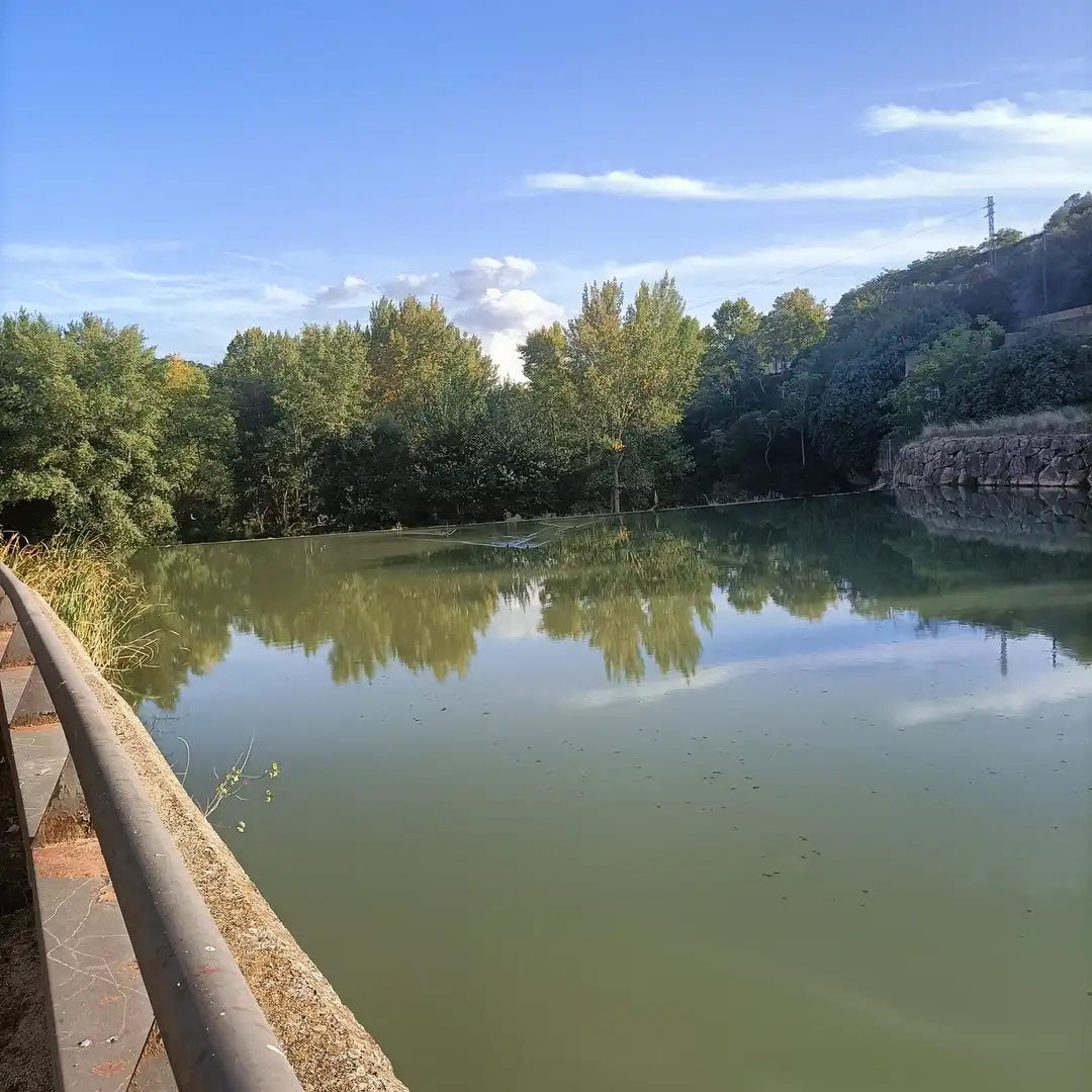Jardín de Residencial en venta en Sallent