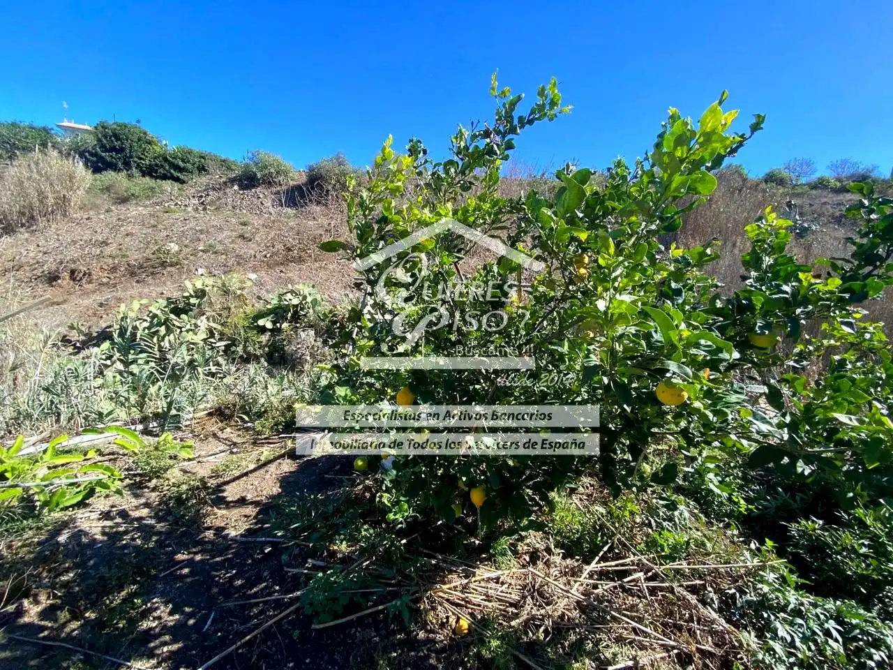 Maison rustique avec jardin à vendre à Casas de Aguilar, imagen 20
