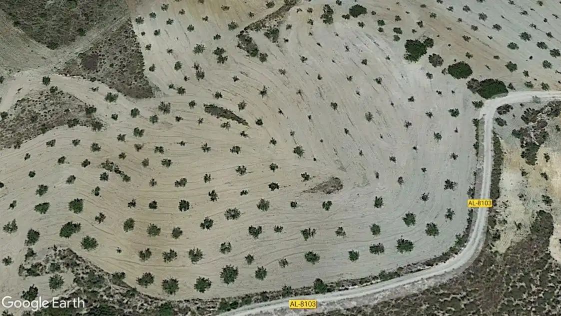 Terrain rustique à vendre à Huércal-Overa, imagen 2
