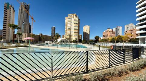 Photo 5 of Apartment for rent in Avenida Avenida de Benisa, Playa Poniente, Benidorm