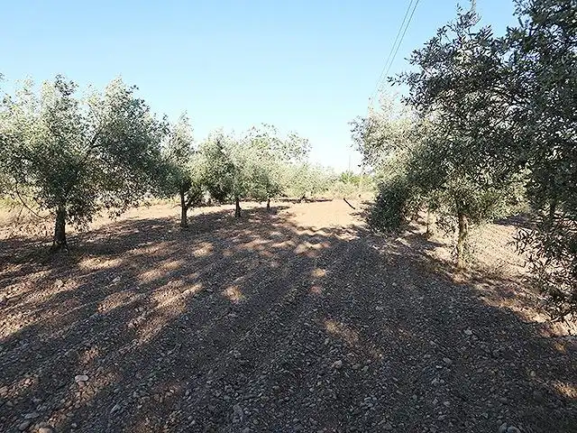 Maison rustique avec jardin à vendre à Ctra. La Senia, imagen 33