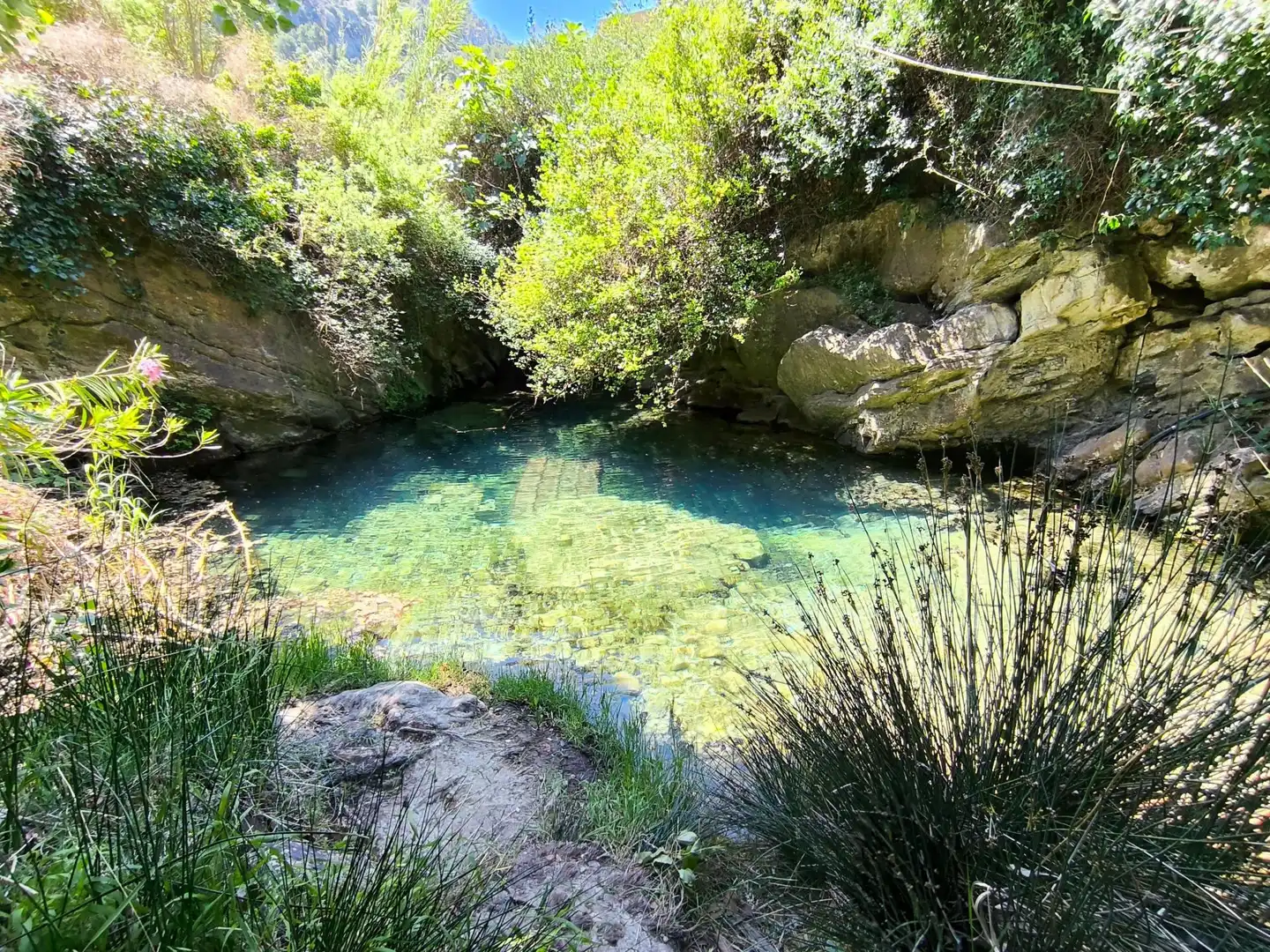 Piscina de Finca rústica de lloguer en Sóller amb Calefacció