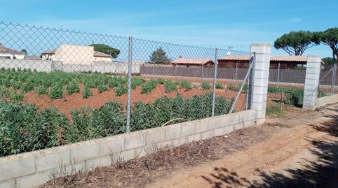Foto 4 de Residencial en venda a Las Lagunas - Campano, Cádiz