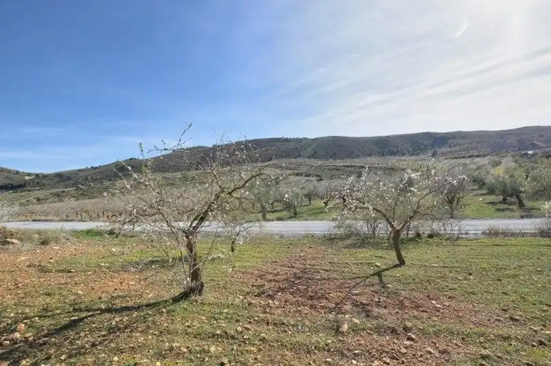 Terreno rustico in vendita a El Valle, imagen 8