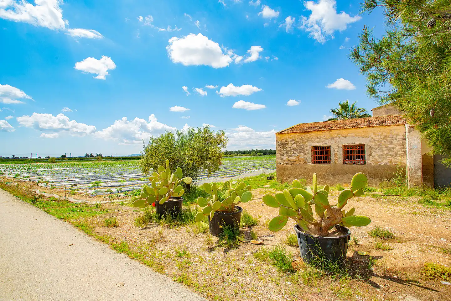 Finca rústica en venda en San Isidro