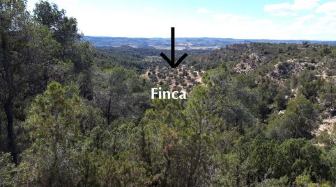 Foto 2 de Finca rústica en venta en Fabara, Zaragoza