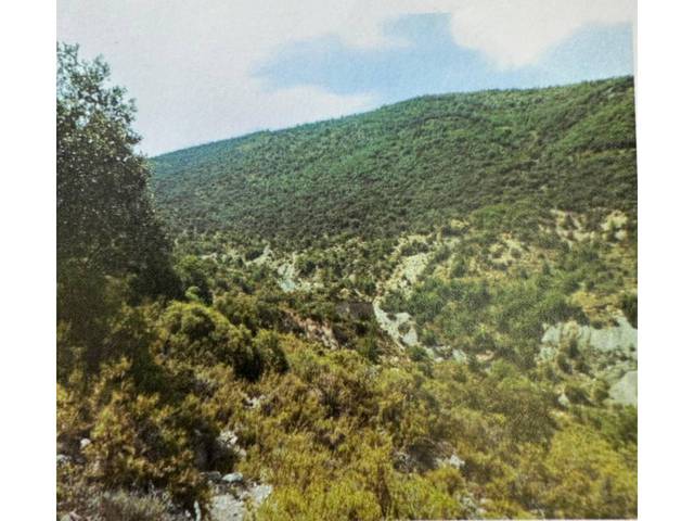 Terreno en Venta en Camino DISEMINAT AGULLO en Àger