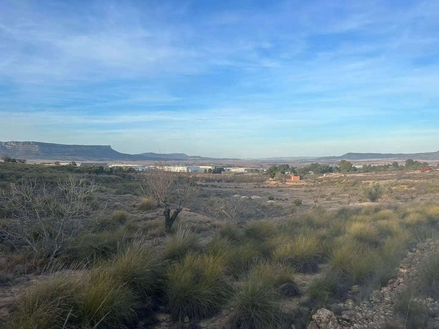 Terreno en venta en Almansa
