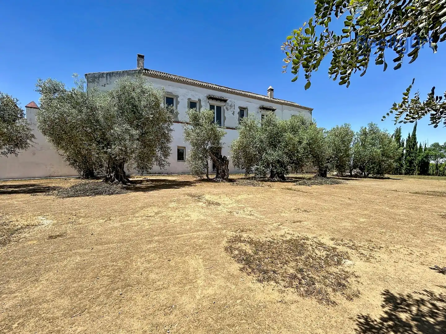 Vista exterior de Finca rústica en venta en Bollullos de la Mitación con Jardín privado y Piscina