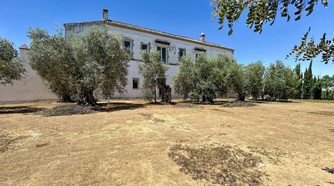 Foto 2 de Finca rústica en venda a Bollullos de la Mitación, Sevilla