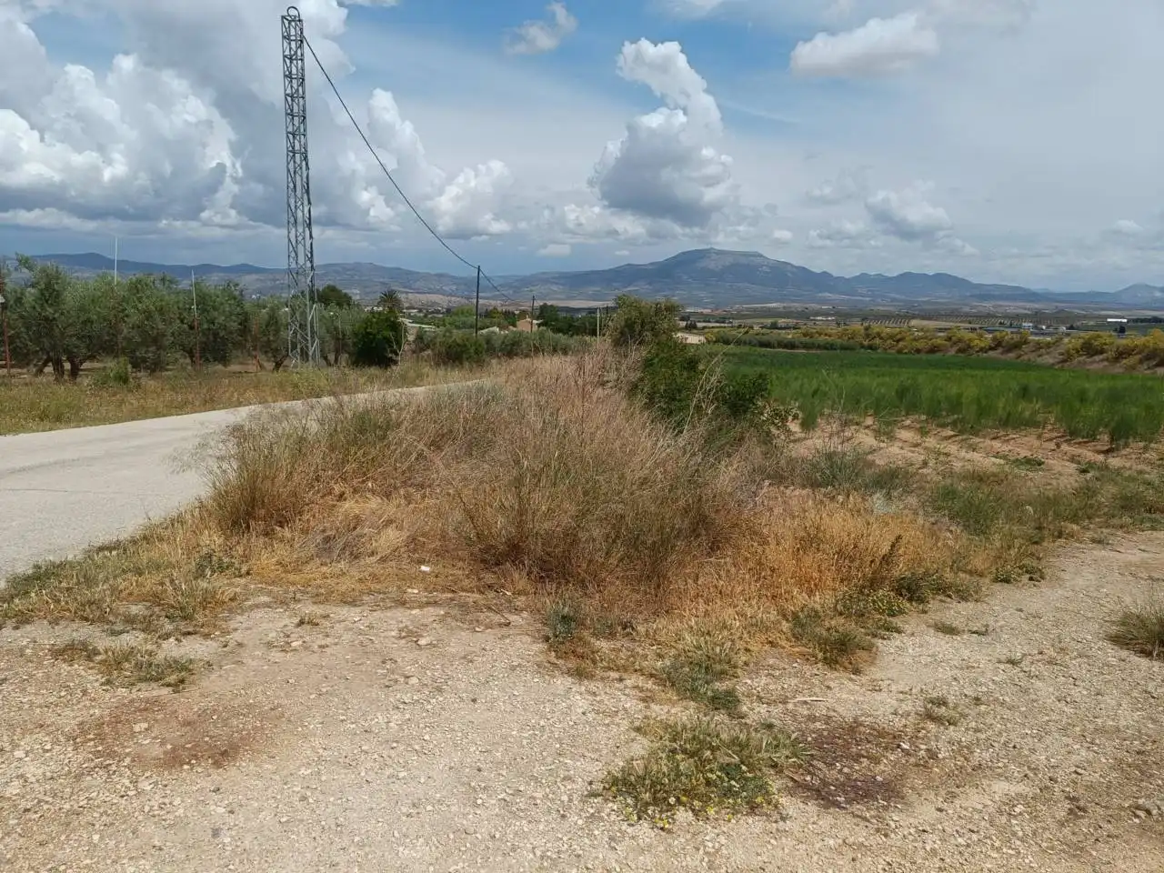Rural land for sale in Moraleda de Zafayona, imagen 2