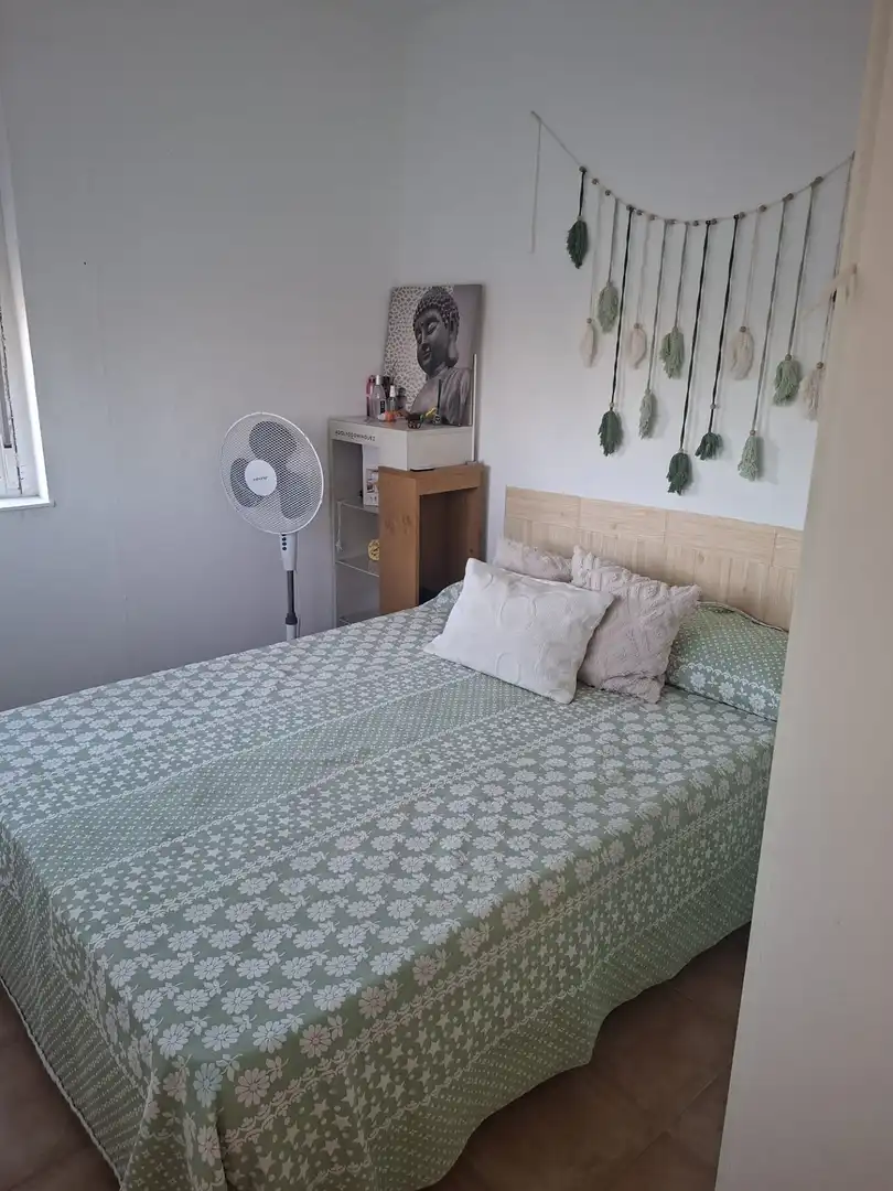 Terreny rústic en venda a Bellavista - La Palmera, imagen 16