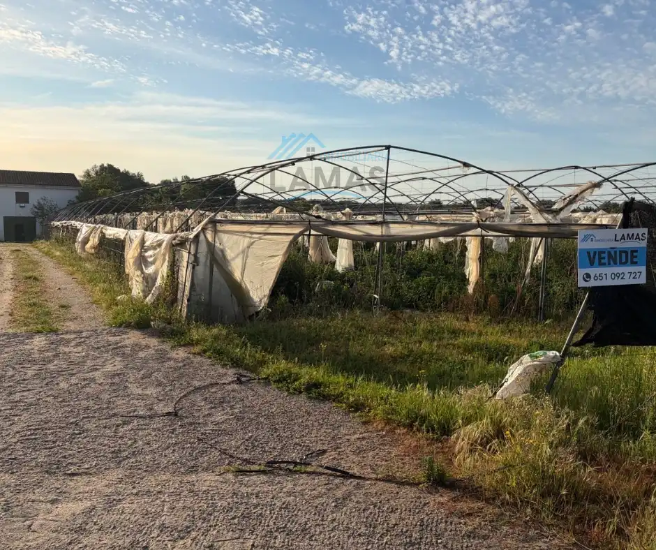 Finca rústica en venta en Cuacos de Yuste