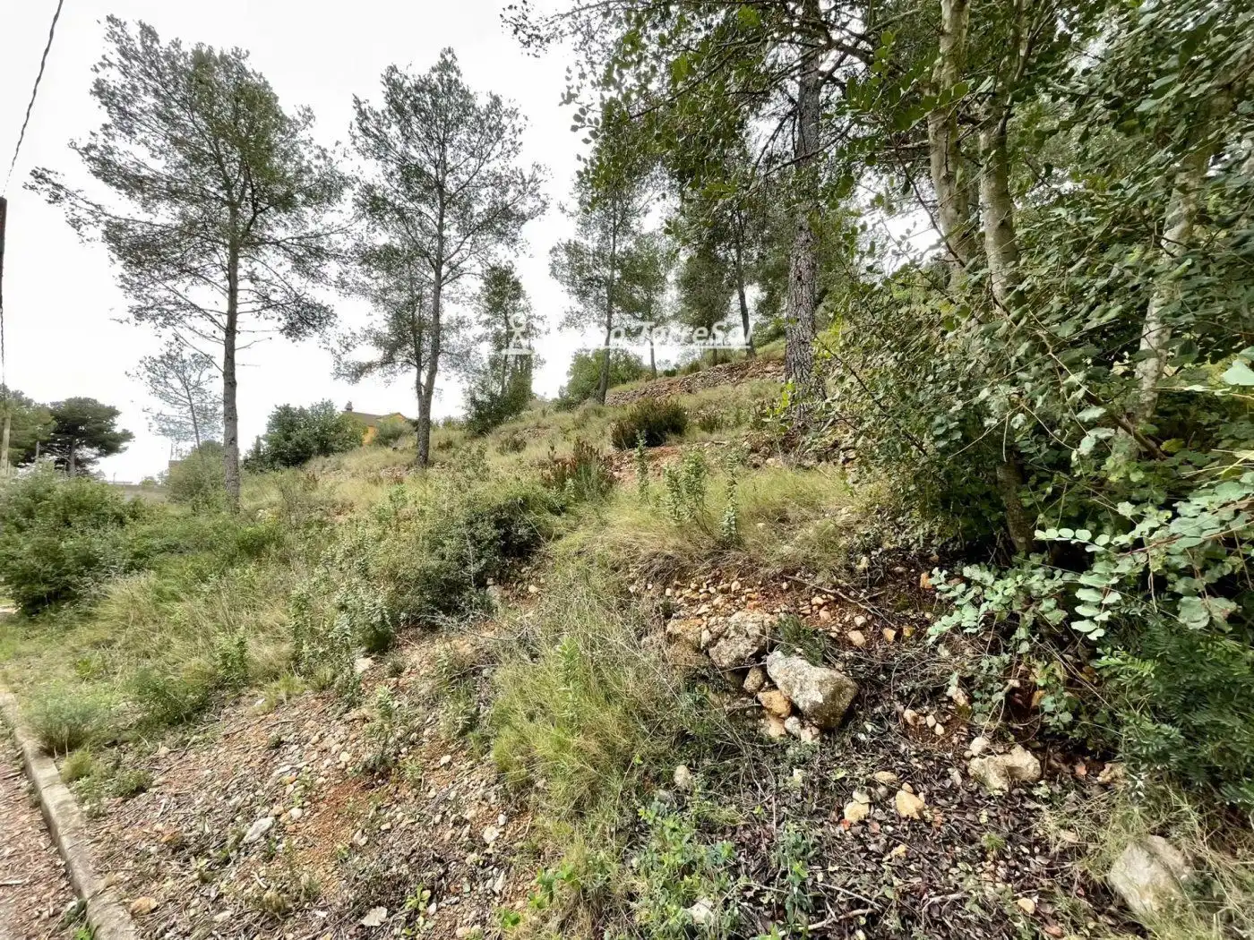 Rural land for sale in Segovia-Priorat, imagen 5