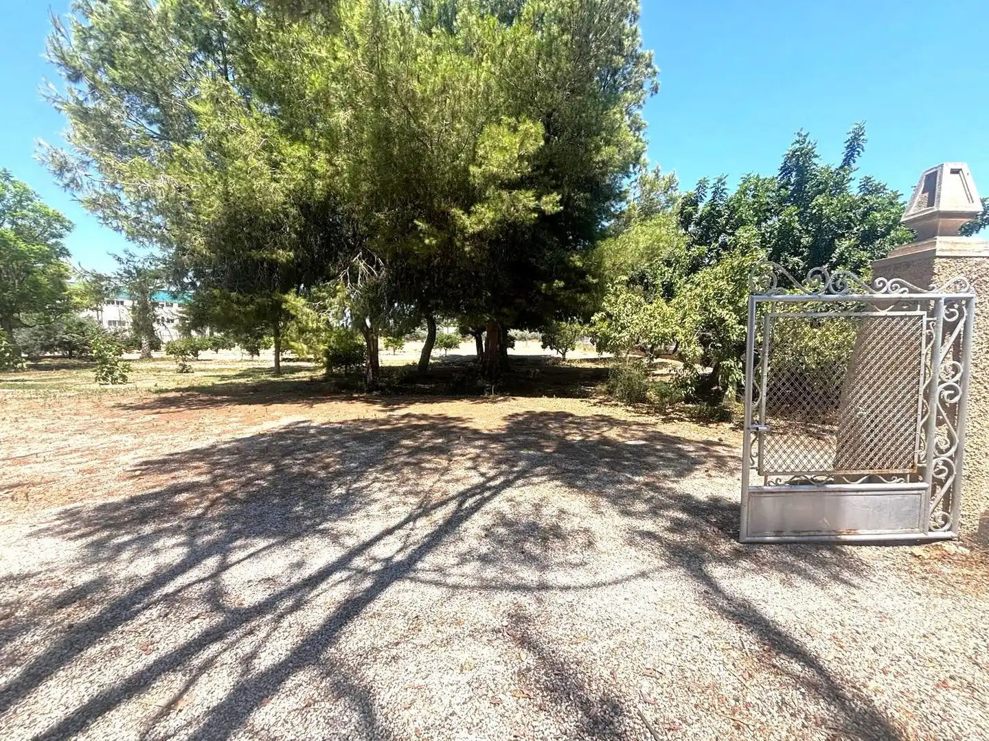 Houses for sale in Elche / Elx