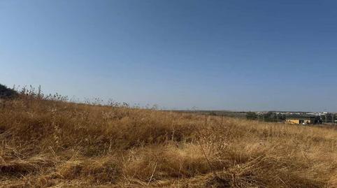 Foto 5 de Residencial en venta en Sitio el Rozon, -1, Huévar del Aljarafe, Sevilla