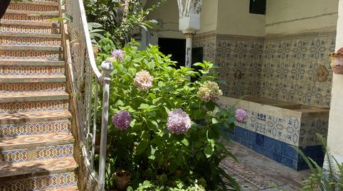 LA CASA INDIANA D'ARENYS DE MAR  AMB EL SAFAREIG MÉS BONIC DEL MÓN, imatge 2