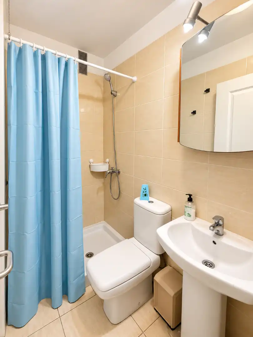 Bathroom of Flat for rent in La Laguna