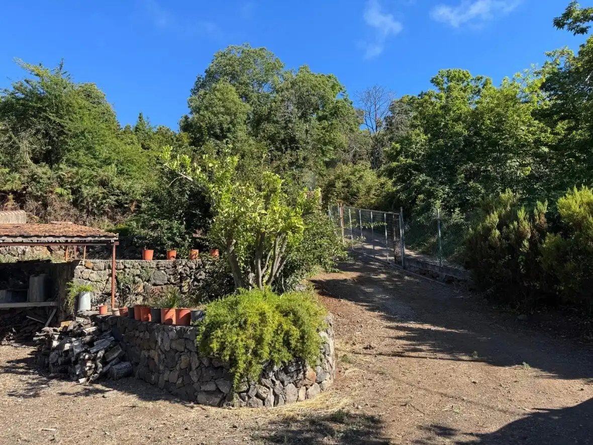 Garten von Country house zum Verkauf in La Matanza de Acentejo mit Terrasse