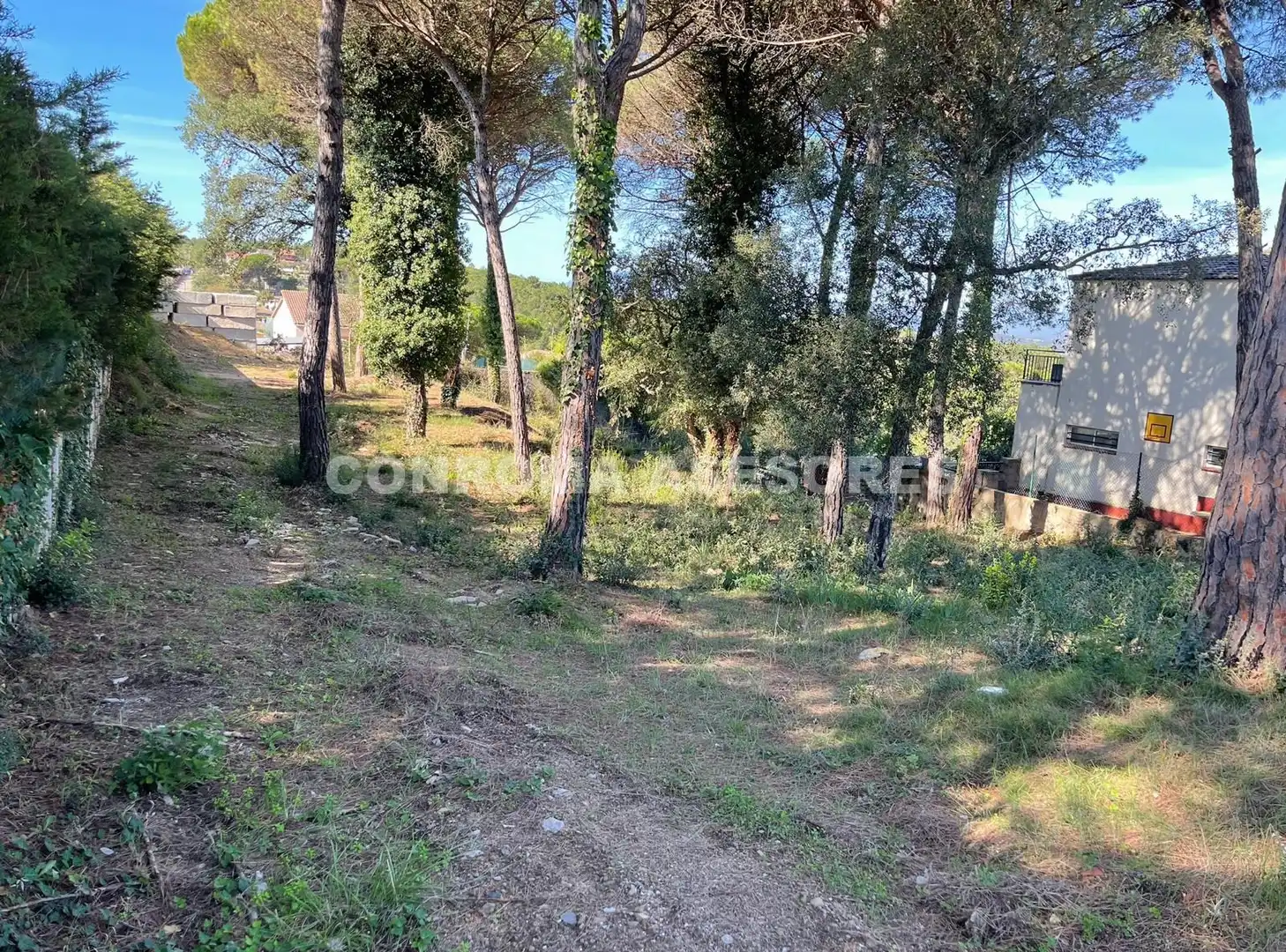 Wohnbaugrundstück zum Verkauf in Terrafortuna - Puig Ventós, imagen 3