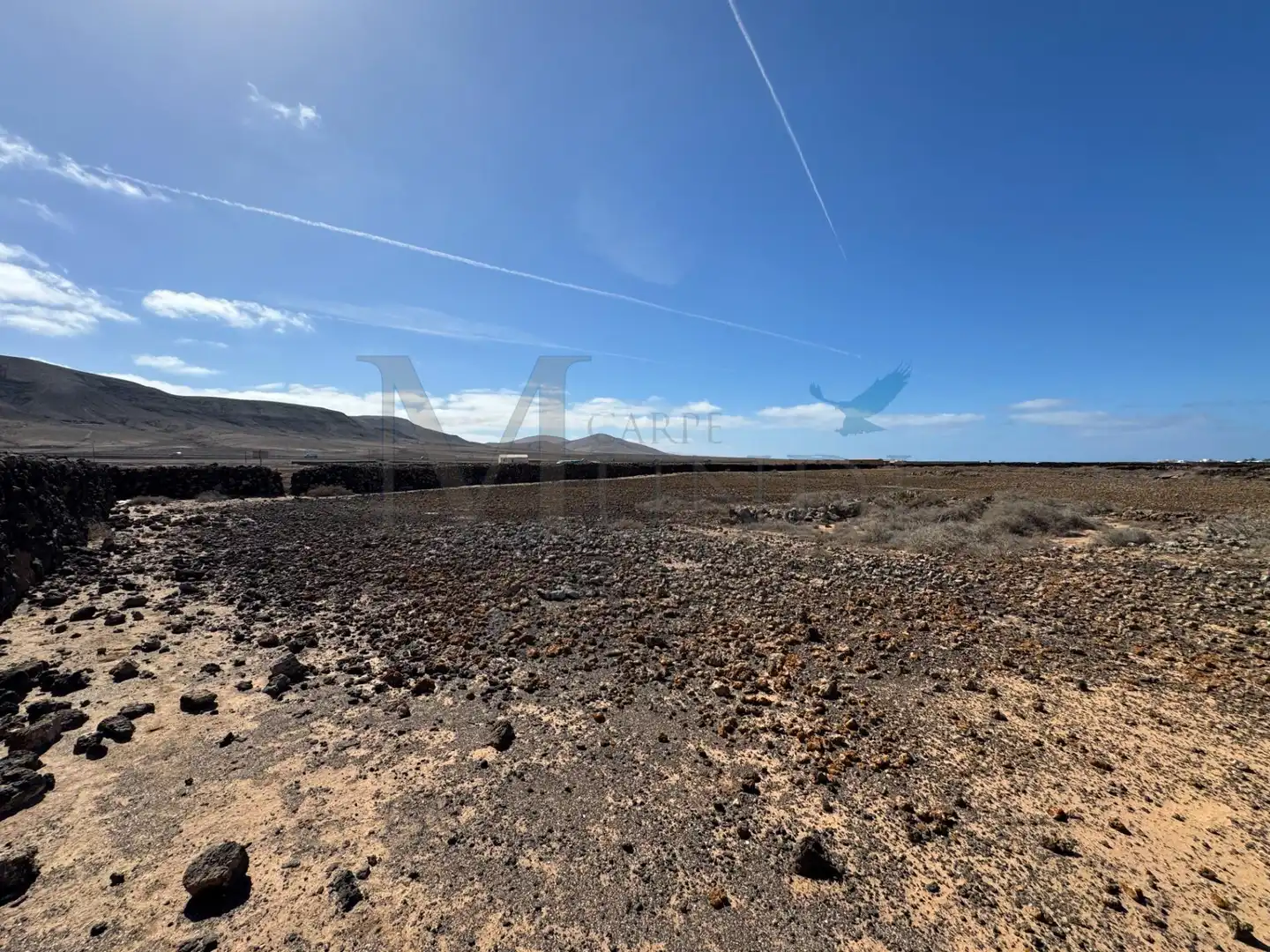 Land for sale in La Oliva