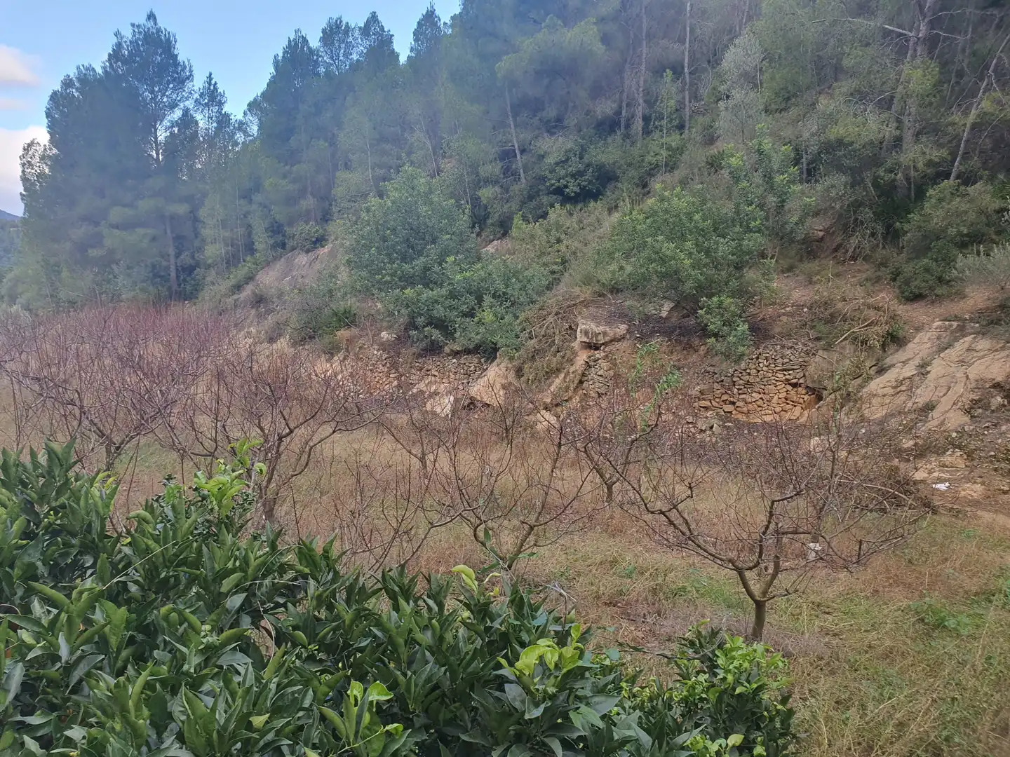 Terreno rústico en venta en Benifallet