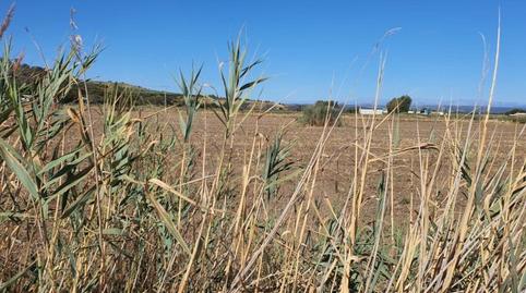 Foto 5 de Finca rústica en venda a La Pueblanueva, Toledo