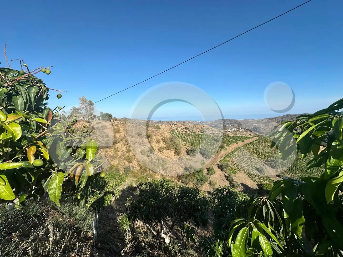 Terreno en venta en Macharaviaya