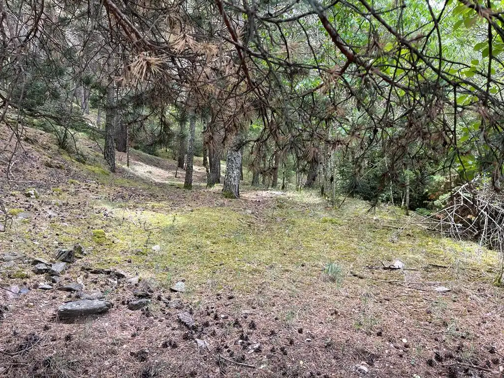 Lands and plots for sale in Aubinyà - Juberri, imagen 4