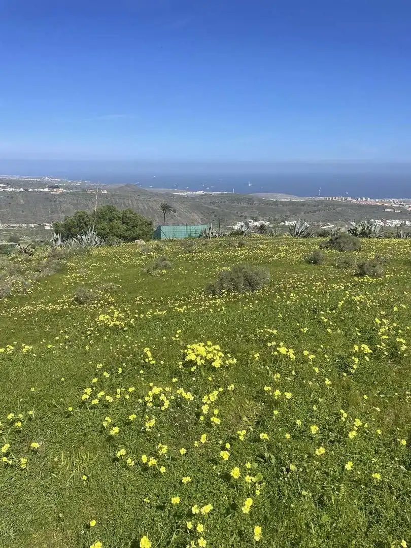 Rural land for sale in Caserones - La Higuera, imagen 6