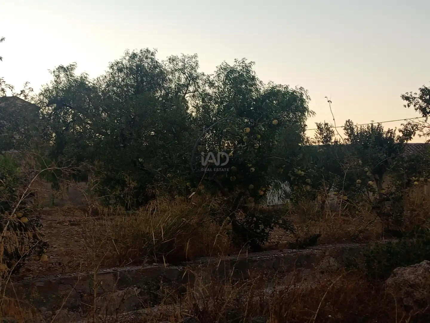 Country homes for sale in Lorca