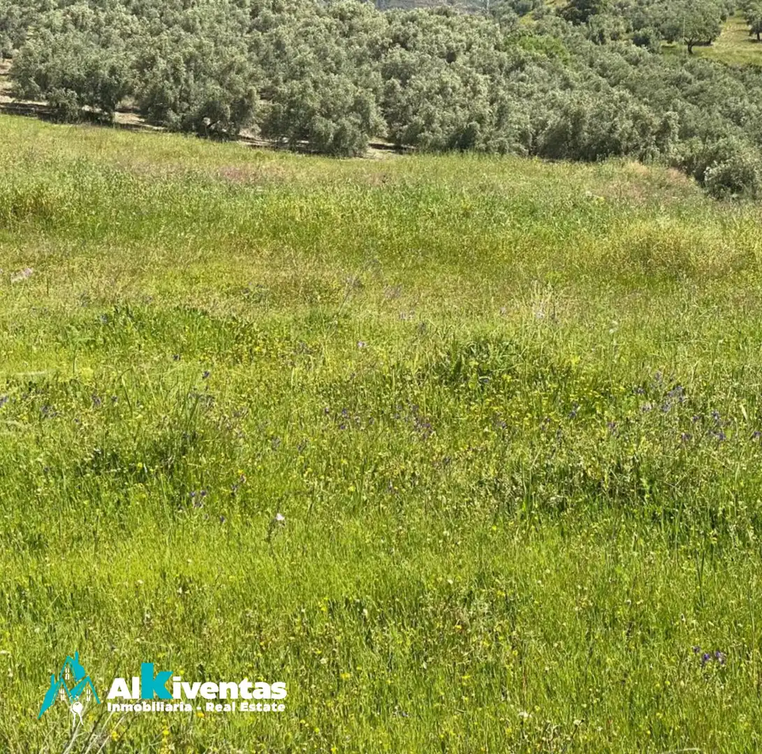 Terreni e lotti in vendita a Casarabonela, imagen 5