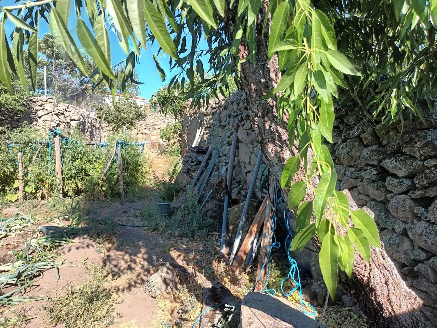 Terrenos y solares en venta en Ledesma, imagen 2