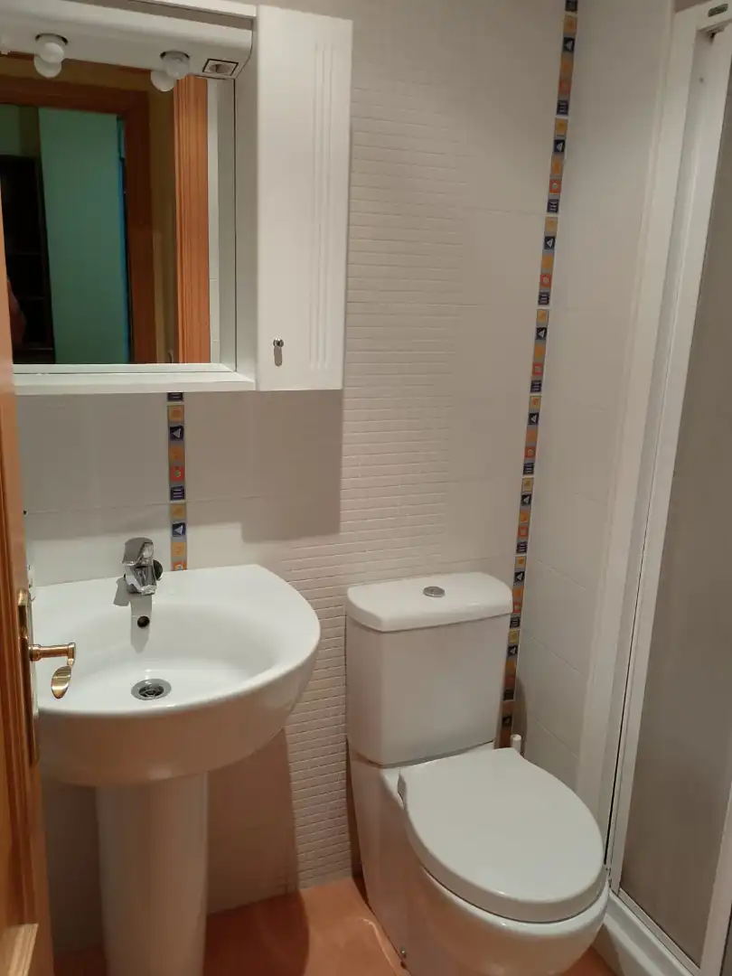 Badezimmer von Wohnungen zur Miete in Oviedo  mit Heizung, Parkett und Möbliert