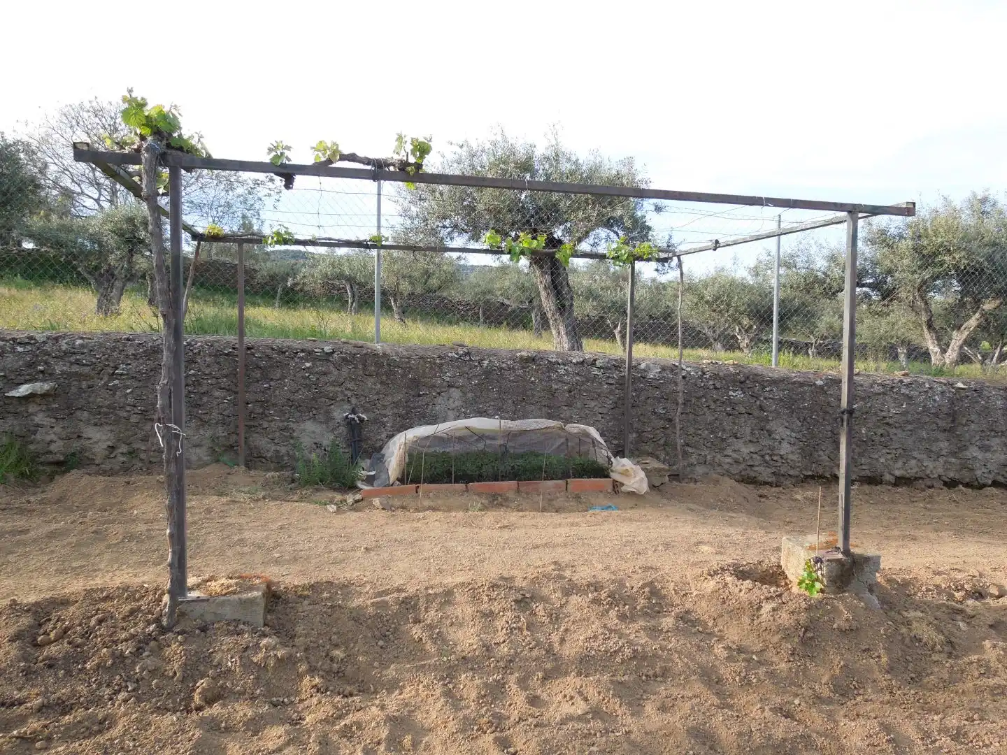 Jardín de Terreno en venta en Malpartida de Plasencia