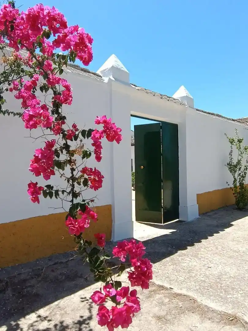 Vista exterior de Piso en venta en Montilla