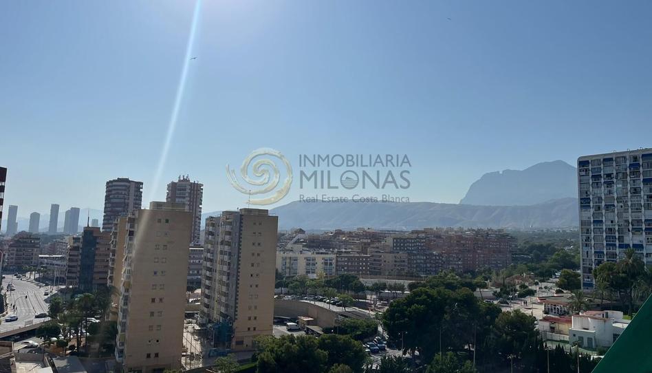 Foto 1 de Estudi en venda a Juzgados - Plaza de Toros, Alicante