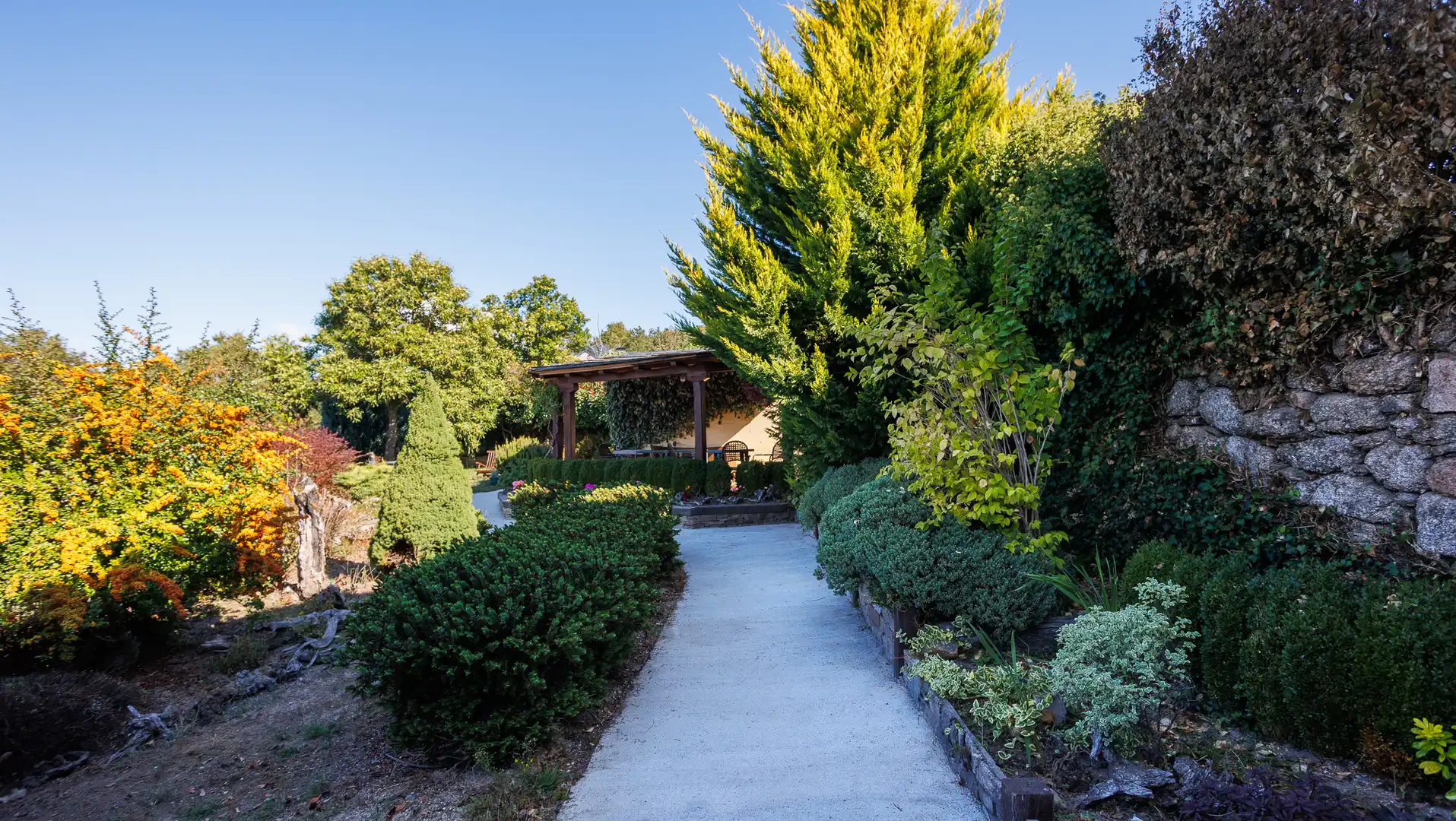 Garden of Commercial properties for sale in A Veiga 
